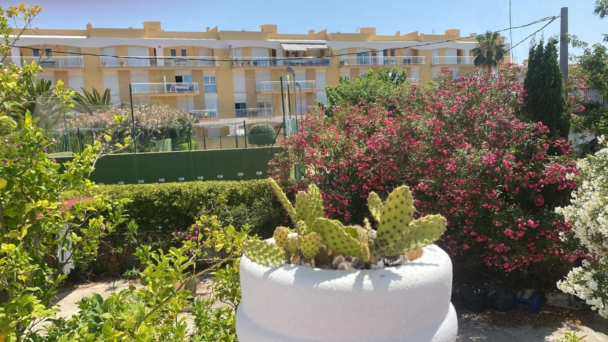 Playa Primera Linea Ferienhaus *